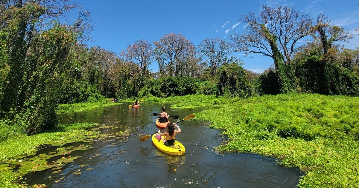 Kayaker in a channel surrounded by wetland vegetation on the Istián tour