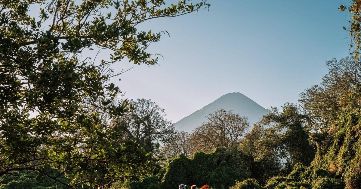 Volcano framed by trees in the mangrove kayak tour gallery