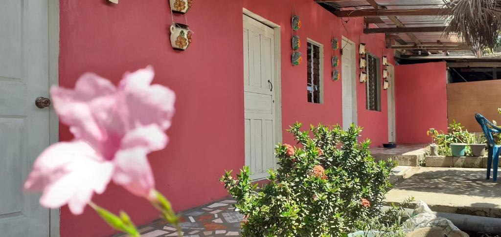 Pink flowers beside a red guesthouse terrace at Guest House Nena